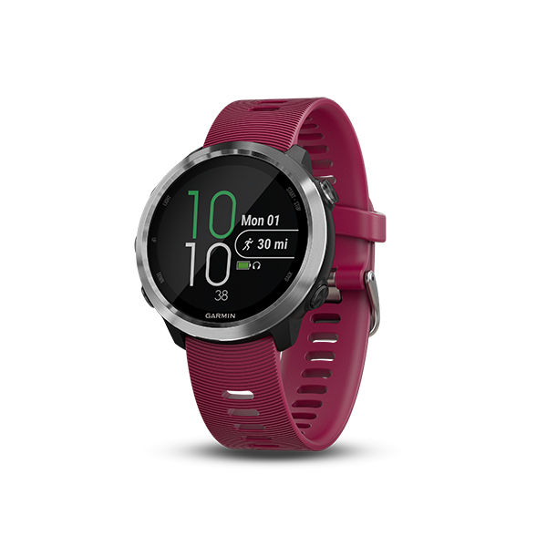 manual garmin forerunner 645